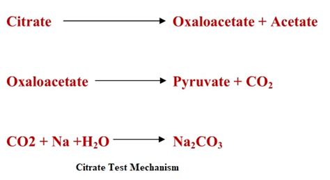 citrate utilization test pdf.